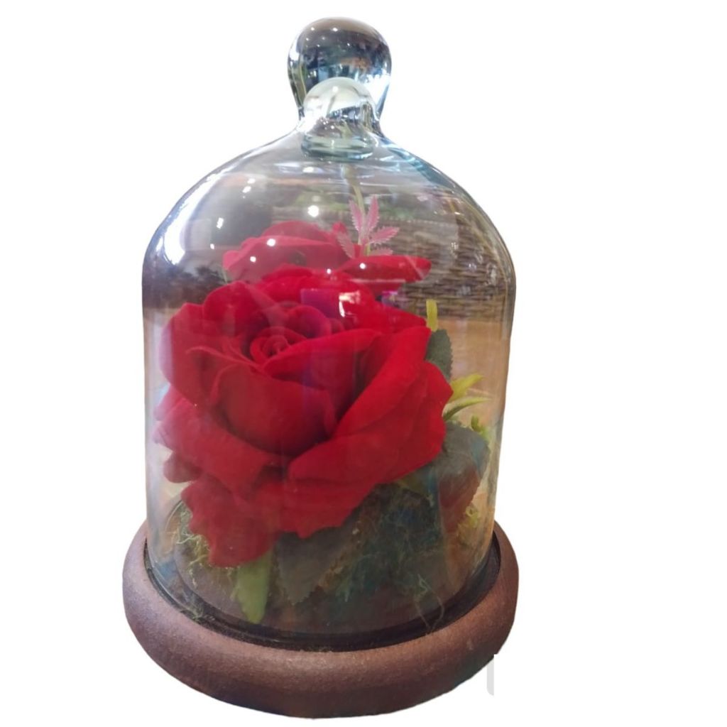 Cúpula Redoma Rosa Eterna Rosa Encantada Bela E A Fera
