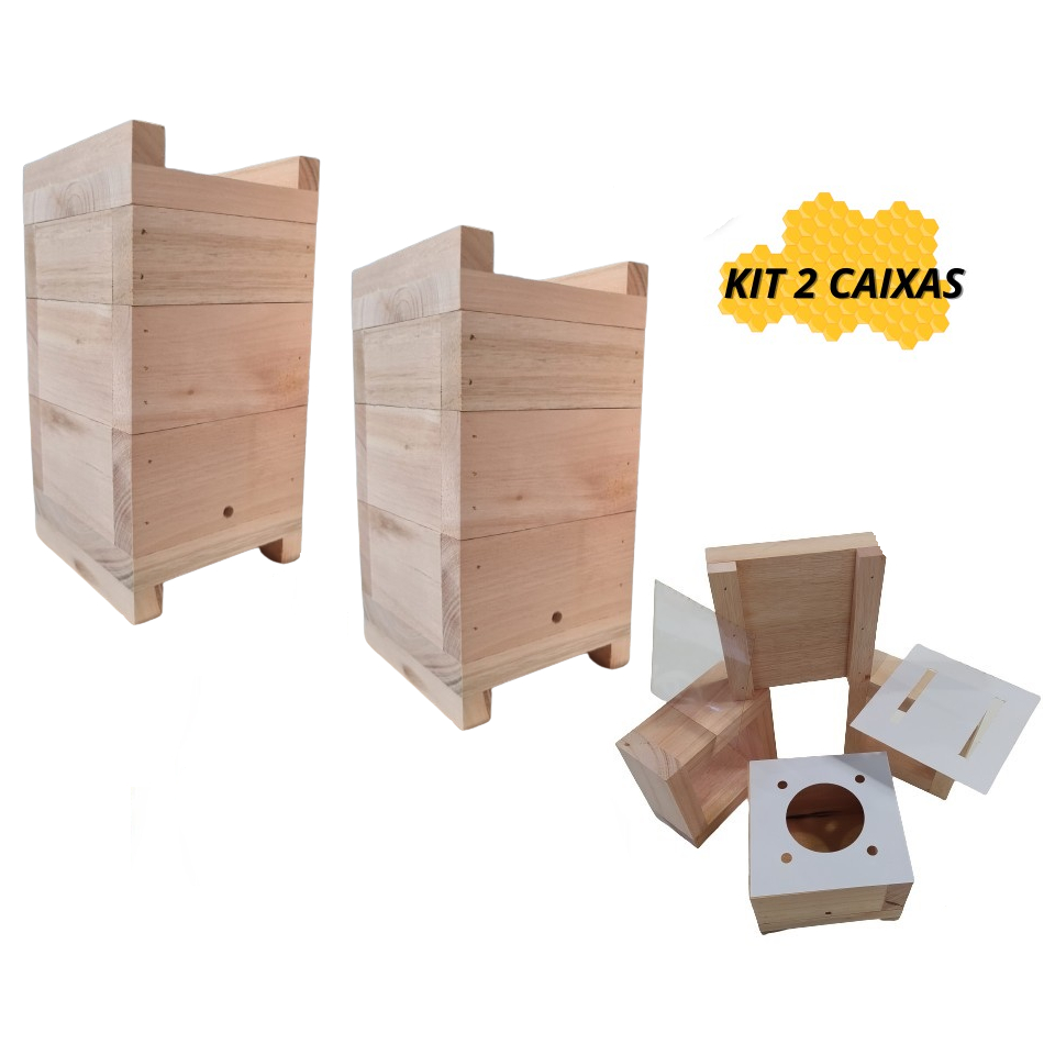 Kit 2 Caixas De Abelhas Jatai Mirim Sem Ferrão Asf Modelo Inpa