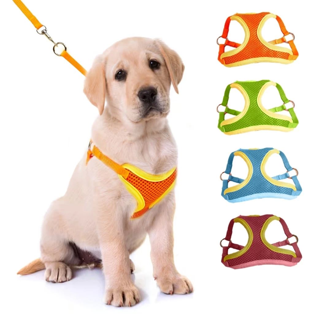 Coleira para Cachorro