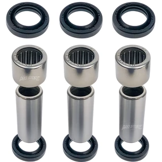 Kit Bucha Pro Link XTZ 250 LANDER 2013/... -XTZ 150 CROSSER 2014/... - TENERE 250 2013 a 2019 kit com Retentores.