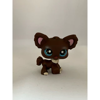 LPS chihuahua (avaria no olho)