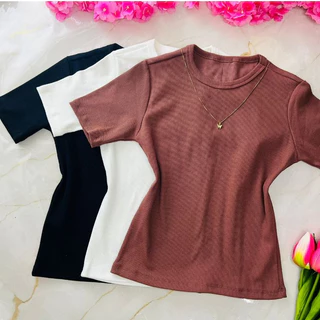 Kit 3 Peças blusa feminina listrada e lisa tecido ribana algodão listrada e lisa básica bicolor americana.