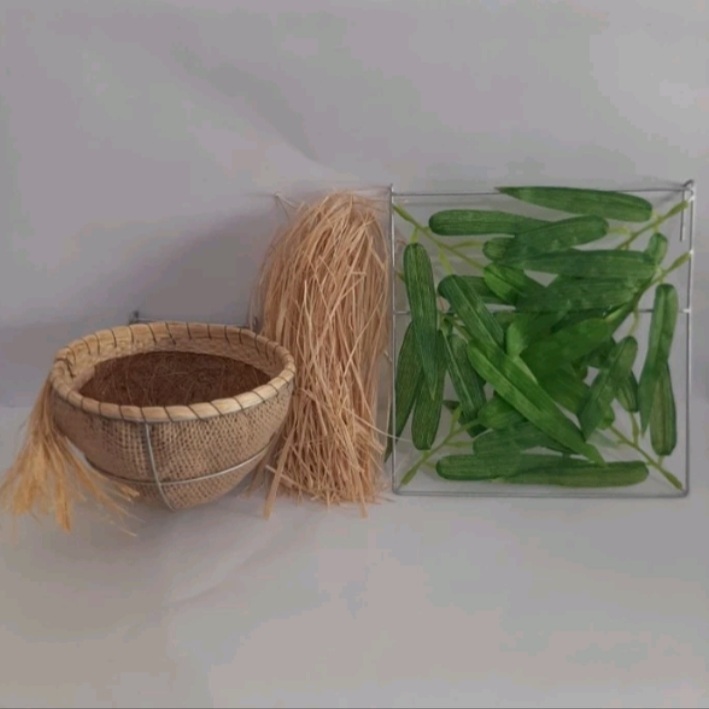 Kit Lino Ninhos Trinca Ferro, Ninho Taça+raiz+protetor