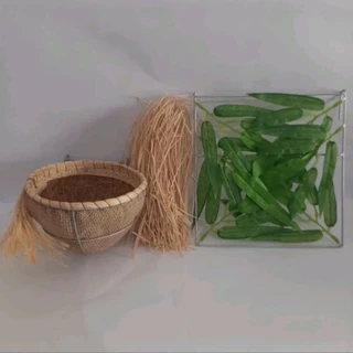 Kit Lino Ninhos Trinca Ferro, Ninho Taça+raiz+protetor