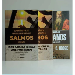Kit Comentários Bíblicos | Salmos + Romanos