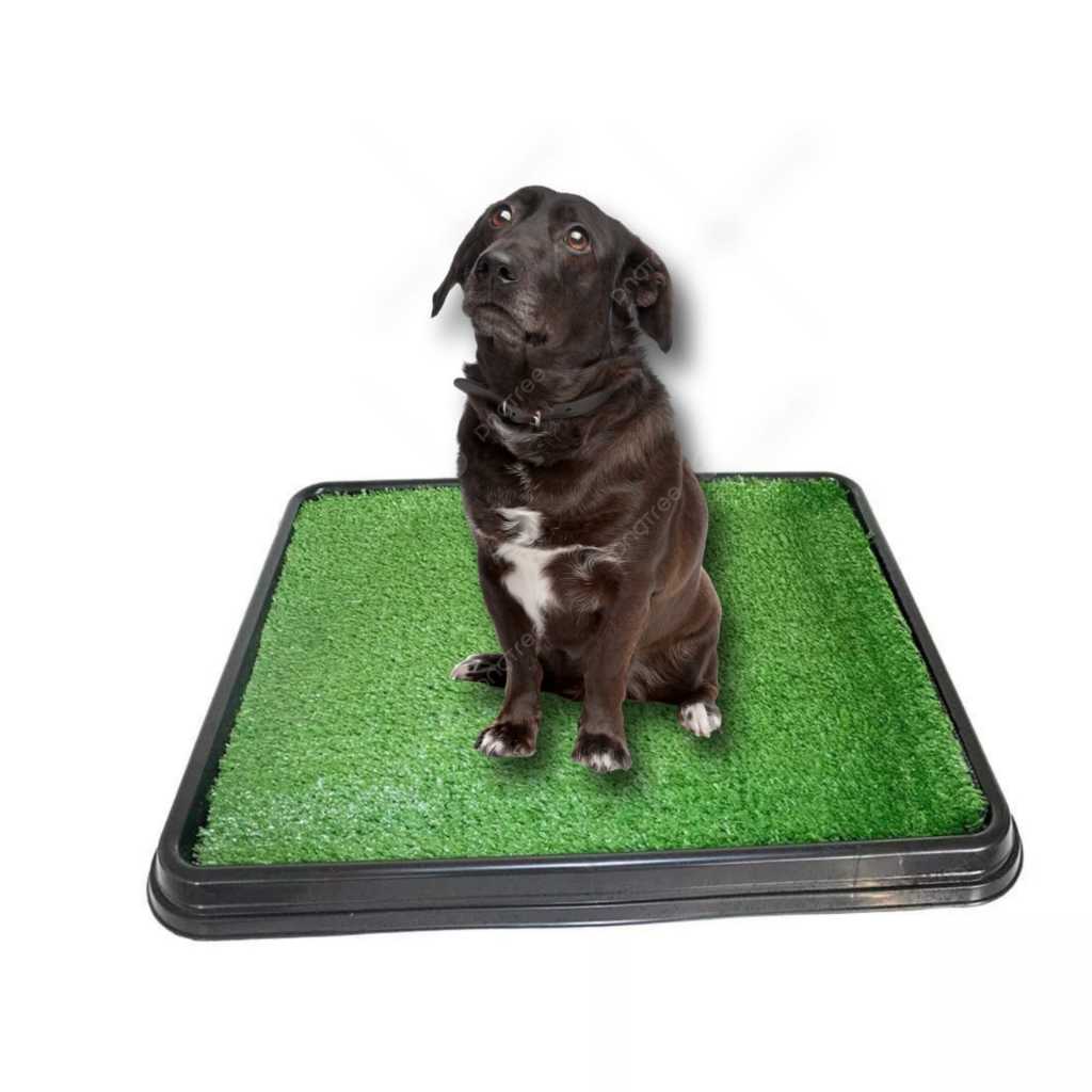 Tapete Para cachorro Sanitário Higiênico Xixi Green Permanente