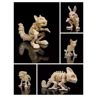 🐾🐱 Animais em esqueleto articulados Feitos em impressão 3D