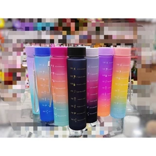 kit Garrafa Squeeze De Água 300ml redondo com ALÇA colors