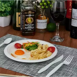 100 Prato de Isopor Térmico Raso 23 cm Refeição Churrasco