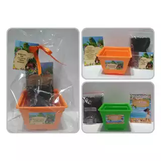 Kit Plantio Ecológico 10 Lembrancinhas Personalizadas