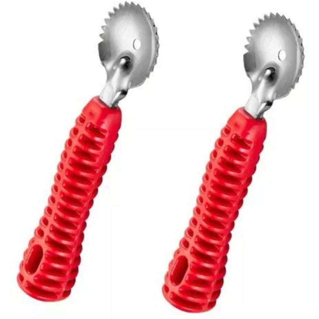 Kit Com 2 Raspa Coco Raspador Em Inox Cabo Reforçado | Shopee Brasil