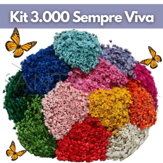 Kit 3.000 Florzinha Sempre Viva Natural Desidratada Decoração Festa Arranjo Casamento Flor Seca