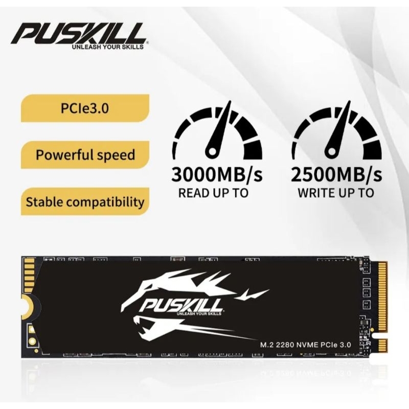 SSD NVMe M.2 128GB PUSKILL 3000MB NOVOS LACRADOS