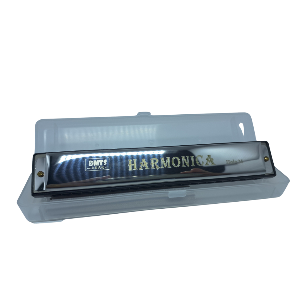 Gaita De Boca Harmônica 48 Furos 24 Vozes Prata