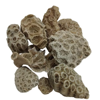 Pedras naturais do mar - pedra para aquário e decoração em geral - 500g