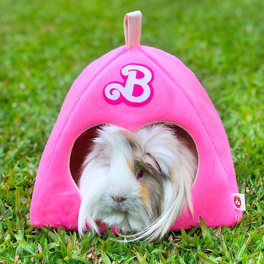 Toca Caminha p Porquinho da India Barbie Guinea Pig Props Shopee Brasil