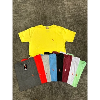 Kit 5 camiseta masculina Lisa ótimo preço e oferta Cores variados R