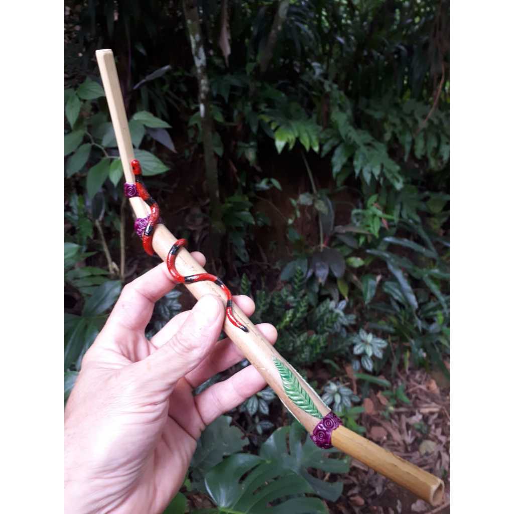 Tepi cobra coral