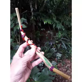 Tepi cobra coral