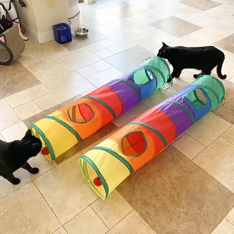 túnel labirinto para gatos
