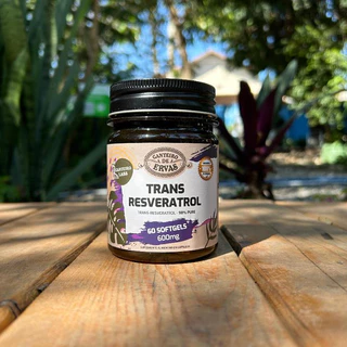 Trans Resveratrol 60 Caps 600 mg Canteiro de Ervas