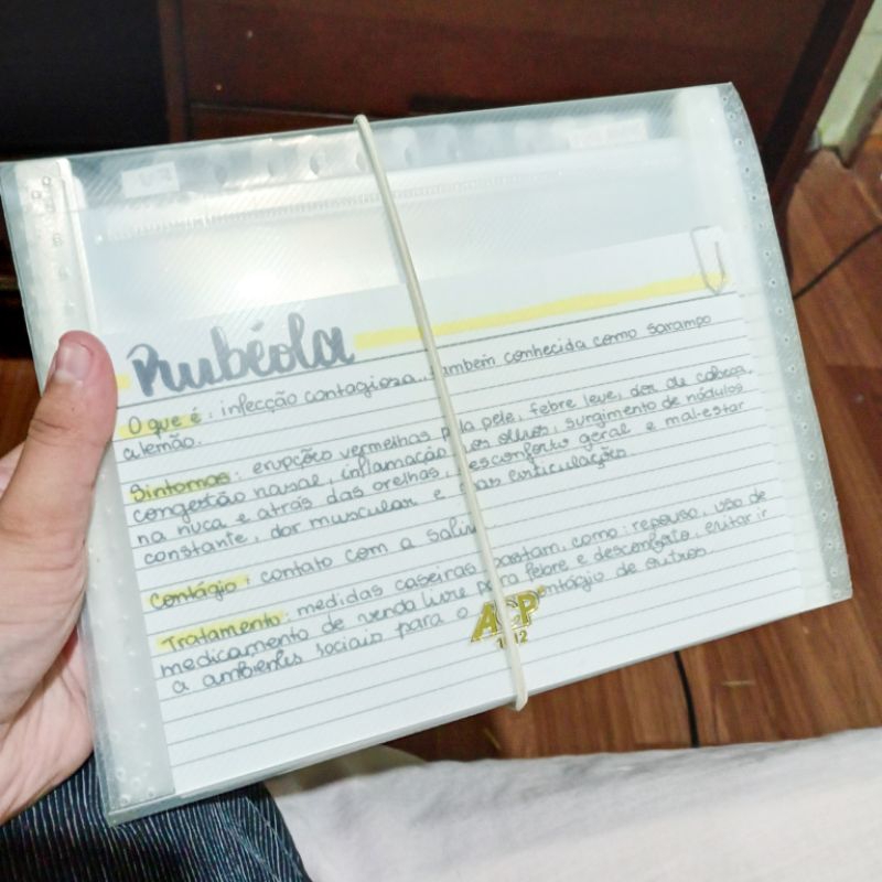 Pastinha Sanfonada Transparente + 14 fichas de estudo / porta fichas / pasta estudos / fichas de estudo médio