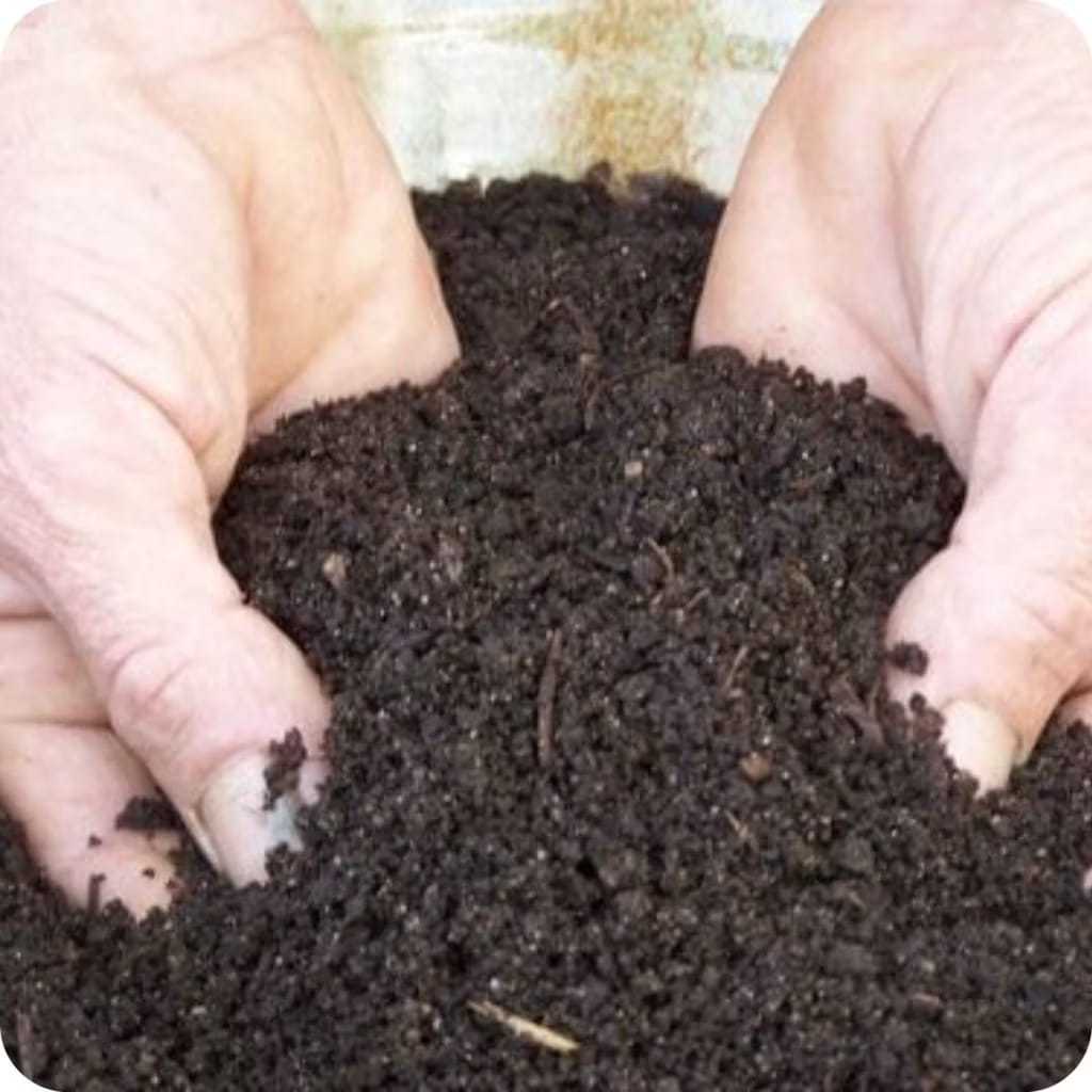 Até 20KG Terra Preta Adubada Pronto para Plantio de Plantas, Pomares e Hortas