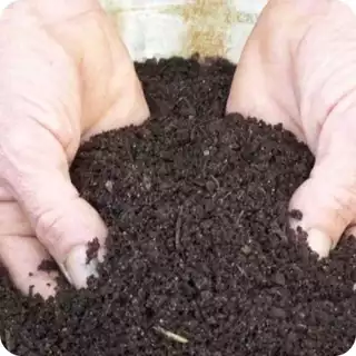 Até 20KG Terra Preta Adubada Pronto para Plantio de Plantas, Pomares e Hortas