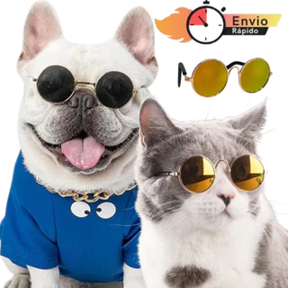 Oculos de Sol Colorido Para Gato Cachorro Pequeno