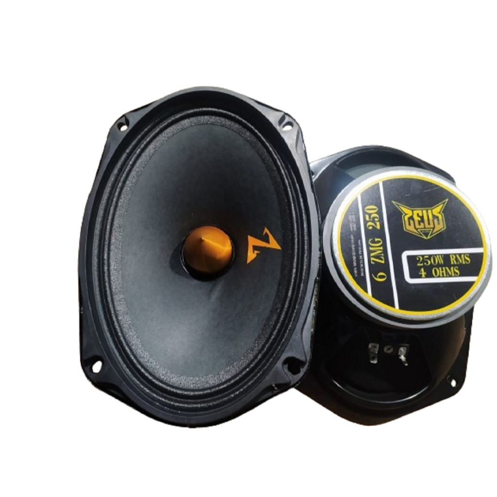Alto Falante 6x9 Pol Som Automotivo Porta 500w Par = Pioneer zetta