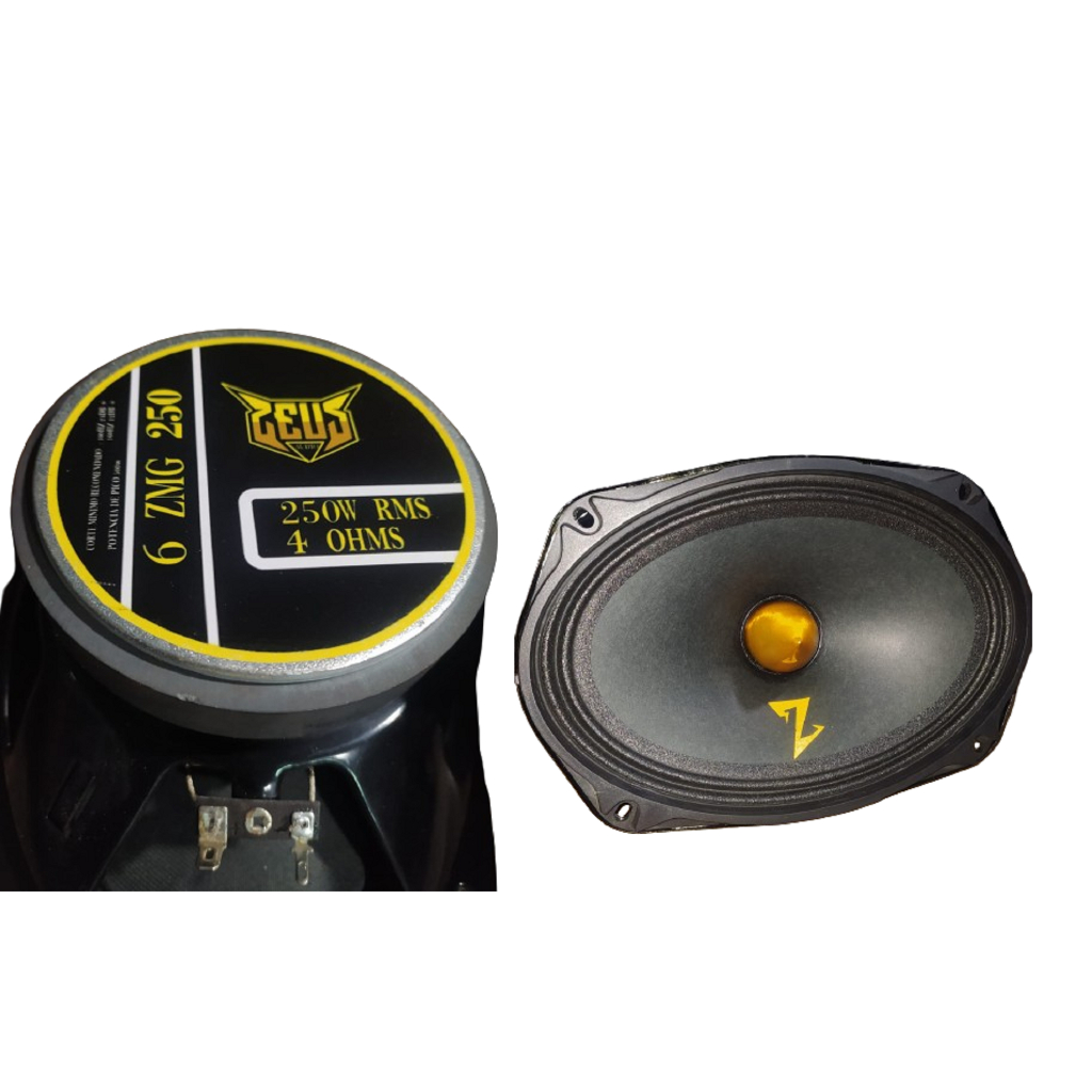 Par Boca 69 6x9 Zeus 500w 250w Rms 2024 = Pioneer Zeta Evok