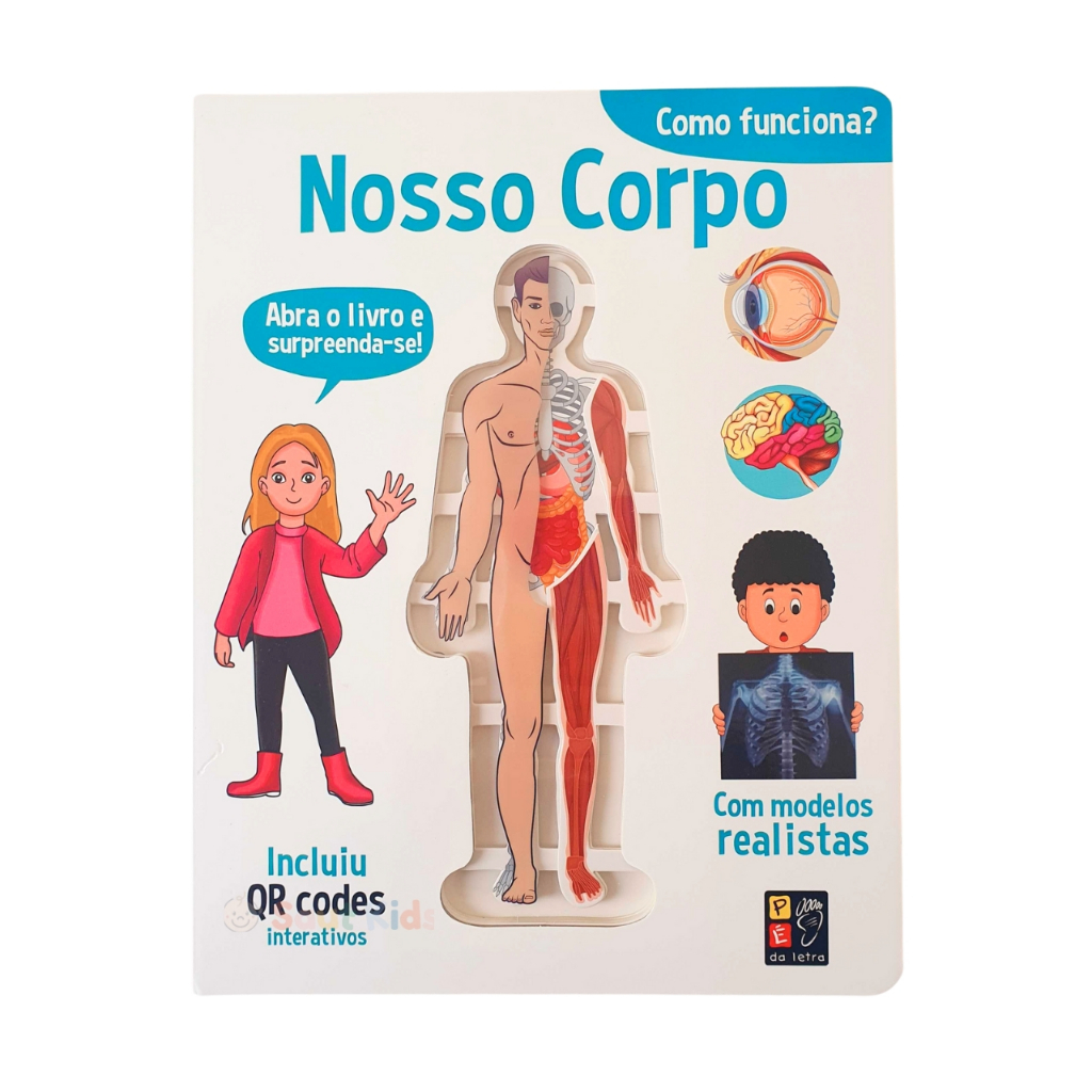 Corpo Humano Para Criancas Corpo Criança Vetores, Ícones E Planos De
