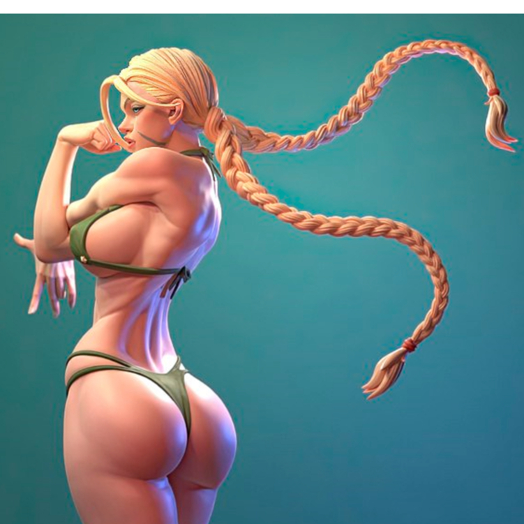 Cammy Street Fighter Biquini
