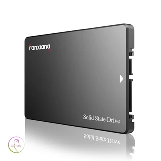SSD SATA 512 GB GOLDENFIR E XRAYDISC!