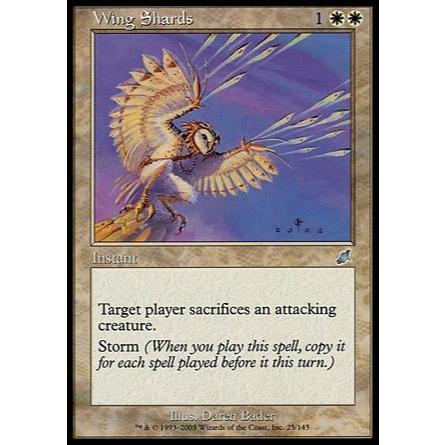 Retalhos de Asas - Magic The Gathering