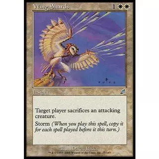 Retalhos de Asas - Magic The Gathering