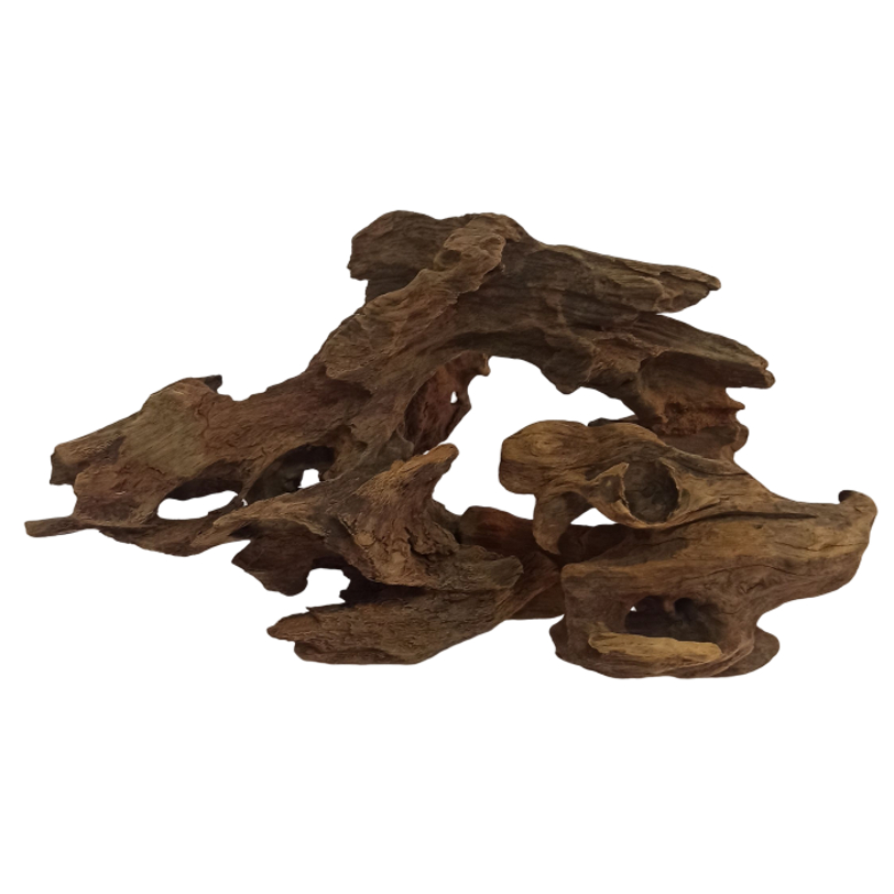 Tronco Dragon Wood Natural ARTESANAL de 20 a 30 cm Decoração de Aquário - Artigos para aquário