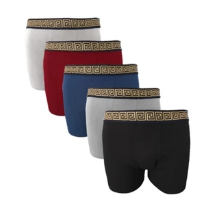 kit 5 Cuecas Boxer Adulto Malha Peruana 100% Algodão Versaci Na Promoção Lançamento Do Ano Tendências Do Verão