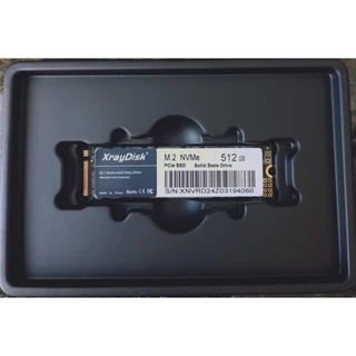 SSD M2 Nvme 512gb xraydisk estoque no Brasil