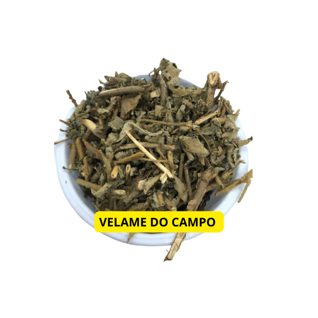 Velame do Campo 1Kg (Erva seca) (Foto da embalagem é ilustrativa) | Shopee  Brasil