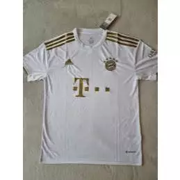 A PRONTA ENTREGA Camiseta Bayern de Munique Tradicional 23/24 Versão Torcedor