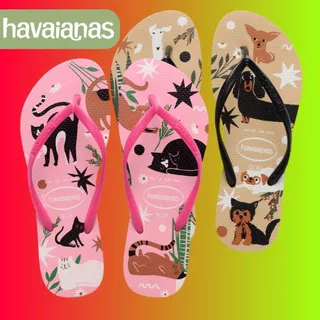 Chinelo Havaianas Feminina Slim Pets Gato Cachorro Original