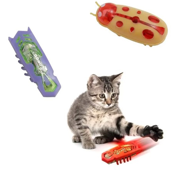 Brinquedo Interativo Para Gatos Insetinhos Baratinha Joaninha Pilha Automático Treinamento
