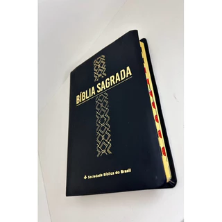 Bíblia Linha Ouro Cruz Capa Preta Mole Nova Almeida Atualizada (naa) Com Índice