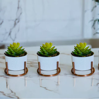 Kit 3 Vasos Cachepot Colmeia Decorativo Com Suporte Para Mini Cactos ou Suculentas ou Plantas Artificiais e Naturais