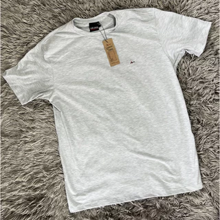 Camiseta Masculina Roupa Masculina Peruana P ao GG Malha Premium 40.1 dia a dia