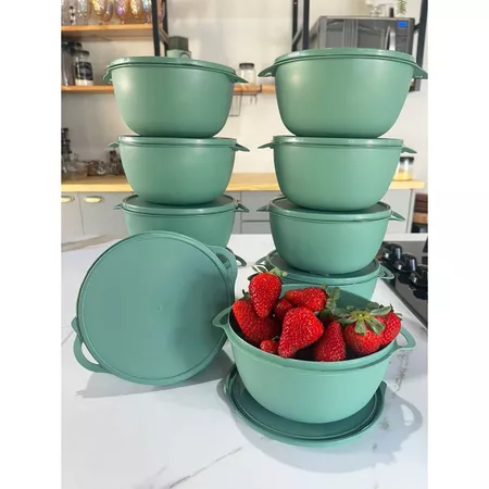 Kit potes plásticos 10 unidades bowl marmitas