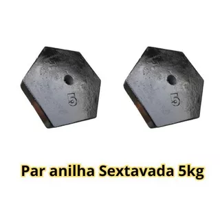Par de anilhas 5Kg- pintada- concreto- (2 unidades) 2 Anilhas 10kg total - Peso de academia