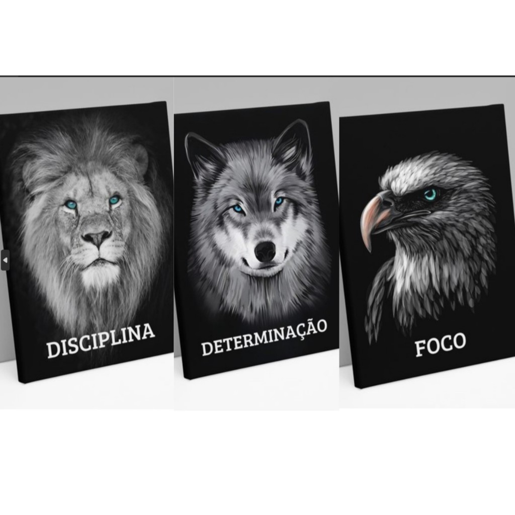 3 QUADROS DECORATIVOS DISCIPLINA, FOCO, DETERMINAÇÃO EM MDF 21X29,7