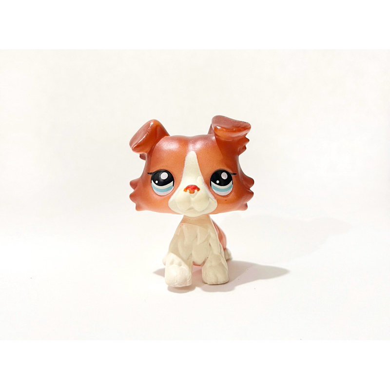 Littlest Pet Shop Collie Similar - Usado